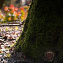 Load image into Gallery viewer, Fairy Door, Miniature Garden, Round,  3d