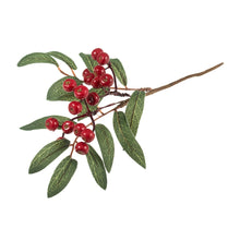 Load image into Gallery viewer, Pack of 1 Huckleberry Branch: 25cm floral arrangements, wreaths, button holes