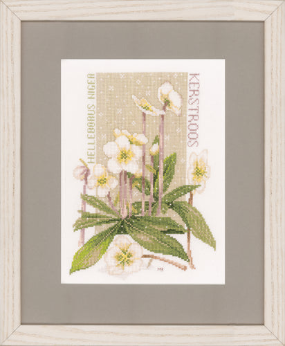 Counted Cross Stitch Kit: Pure White (Aida)