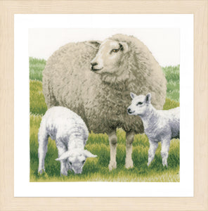 Counted Cross Stitch Kit: Sheep (Evenweave)