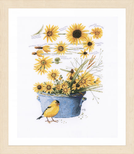 Counted Cross Stitch Kit: Helianthus Sunflowers