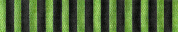 Full Roll of Bersifords Ribbon Witches Stripe: 25m x 15mm: Green/Black