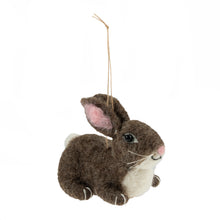 Load image into Gallery viewer, Needle Felting Kit: Bunny