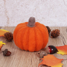 Load image into Gallery viewer, Needle Felting Kit: Pumpkin